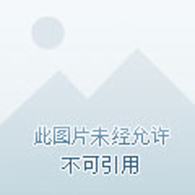 商贸批发市场：新时代的商业脉搏