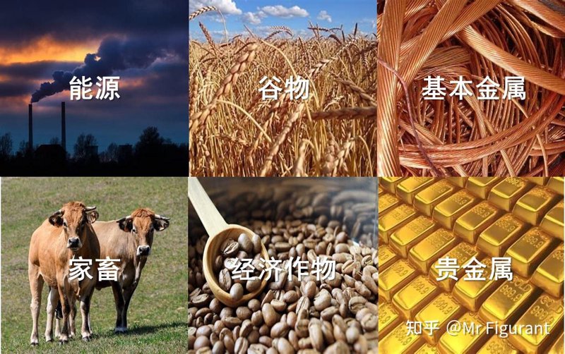 江苏贤三信商贸：推动现代商贸新风尚